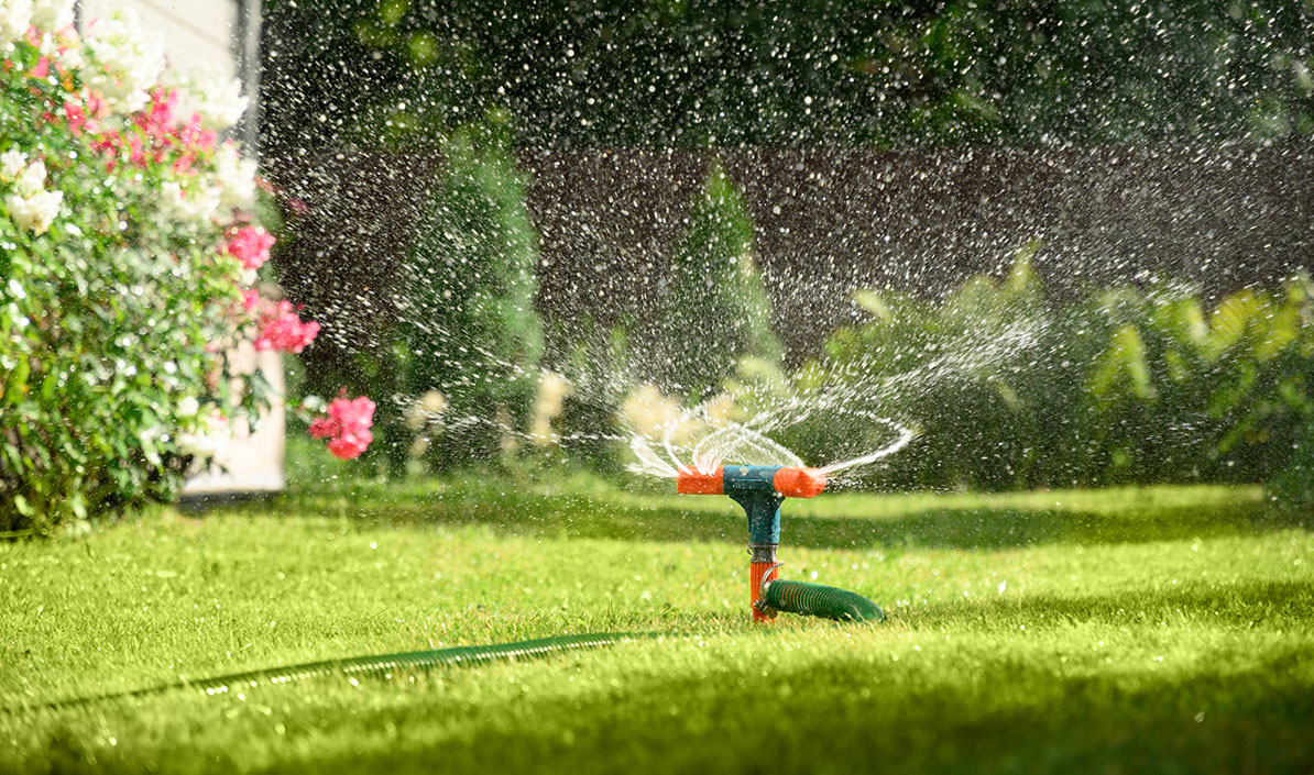 Sprinkler rotating in backyard